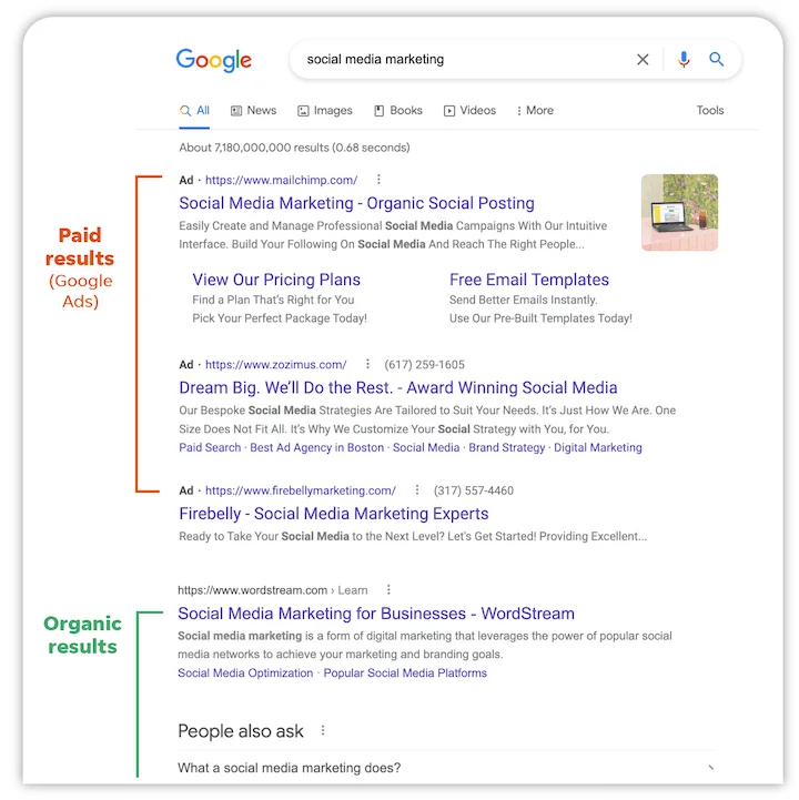 Google Search Ads - Paid vs Organic Results